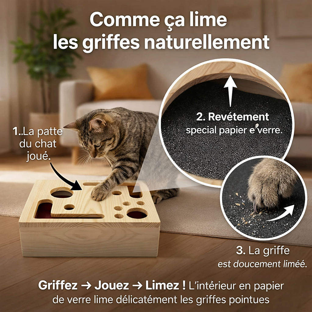 ClawSaver™ - Le griffoir intelligent qui entretient les griffes de votre chat