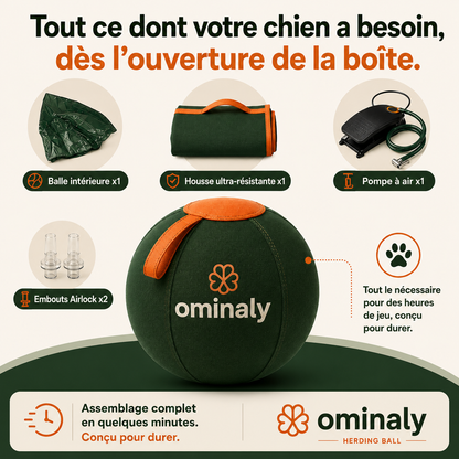 La balle qui épuise les chiens infatigables