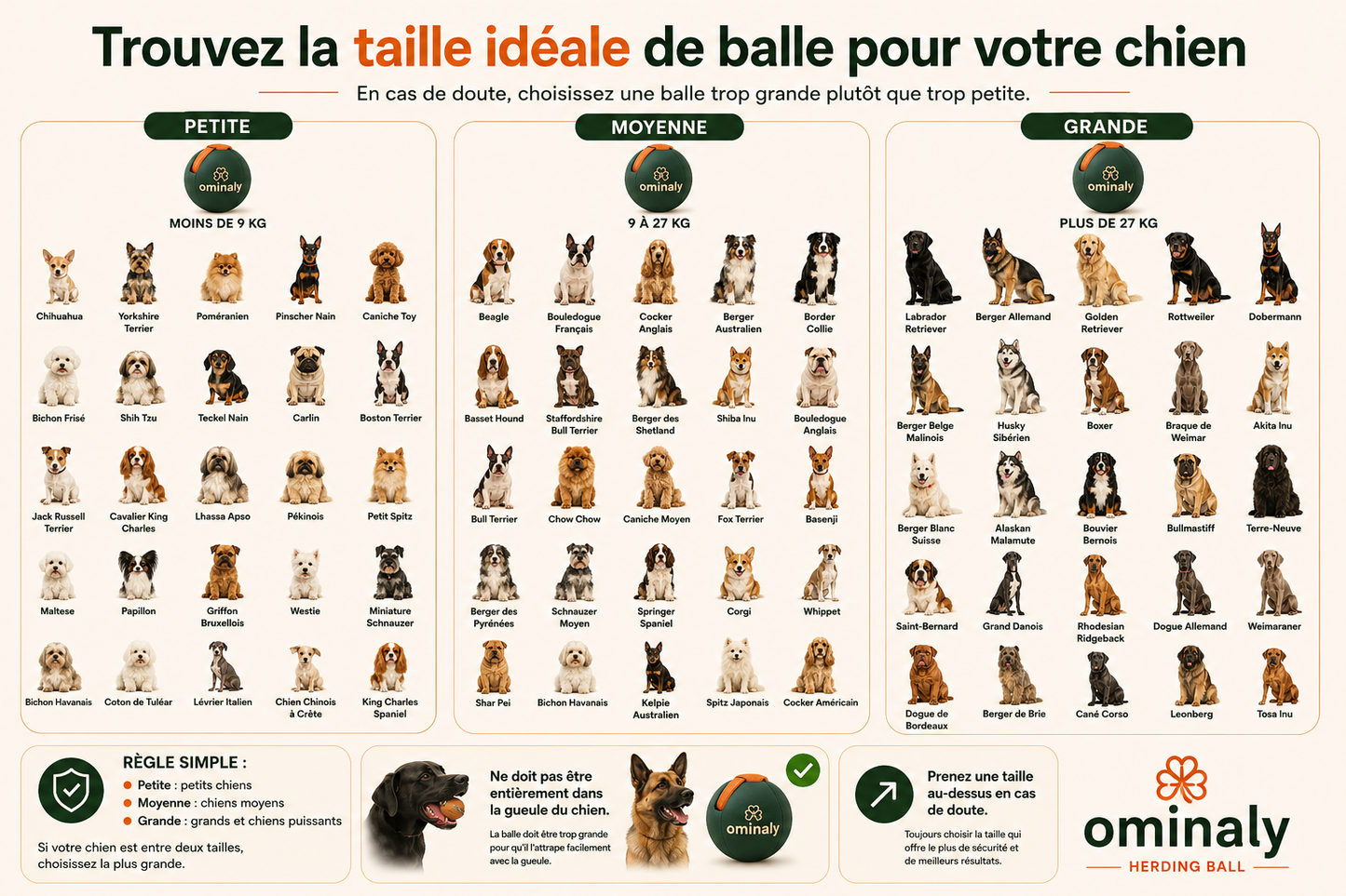 La balle qui épuise les chiens infatigables