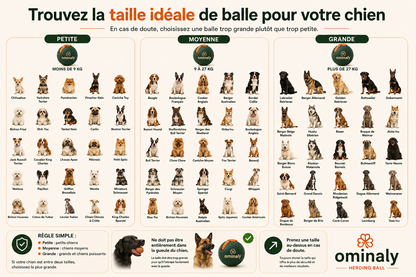 La balle qui épuise les chiens infatigables