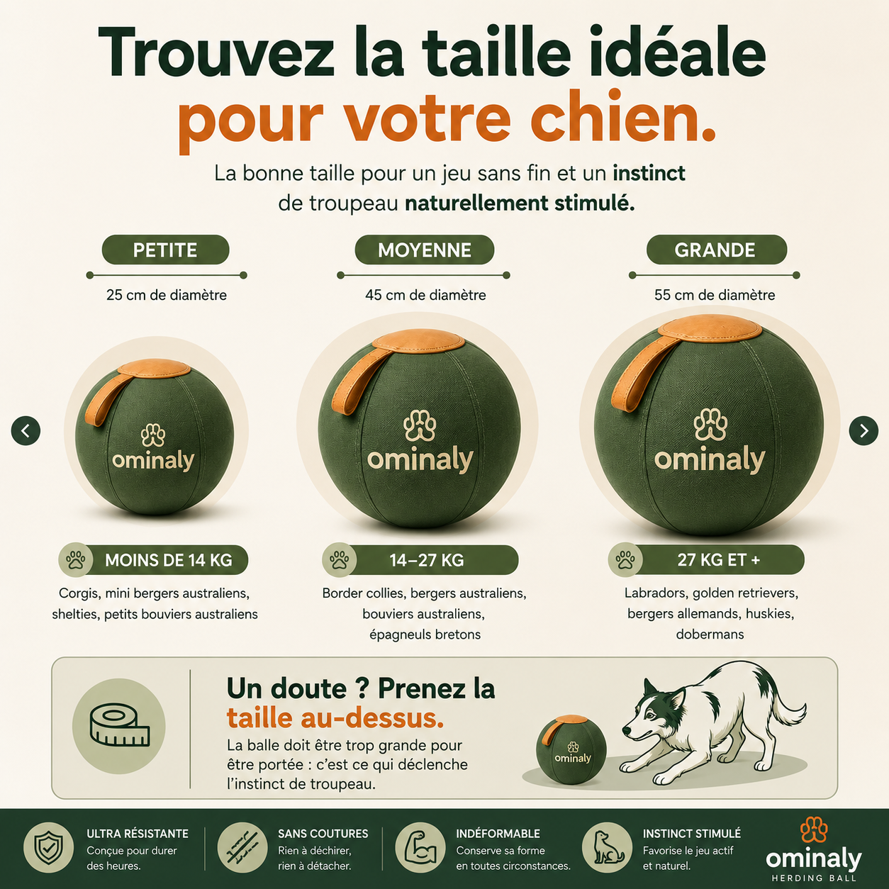 La balle qui épuise les chiens infatigables