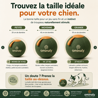 La balle qui épuise les chiens infatigables