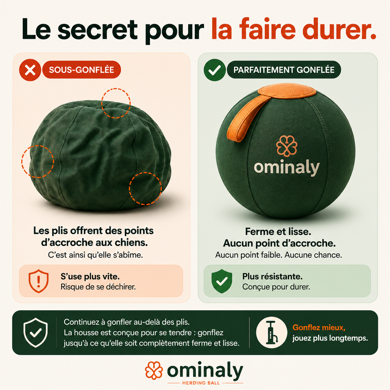 La balle qui épuise les chiens infatigables