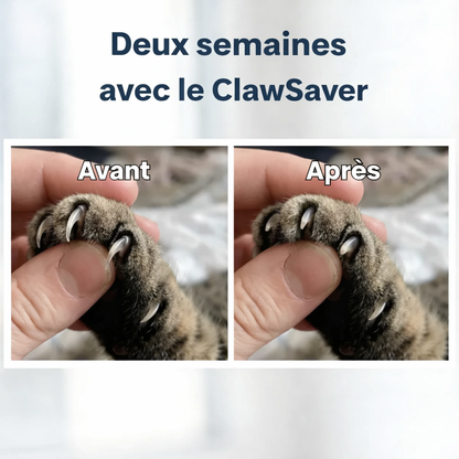 ClawSaver™ - Le griffoir intelligent qui entretient les griffes de votre chat
