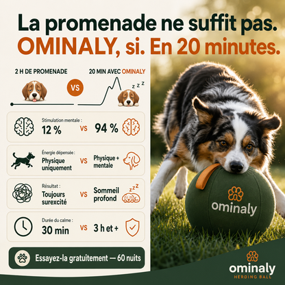 La balle qui épuise les chiens infatigables
