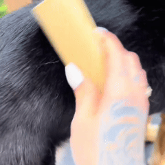 Brosse Clean'Poils™