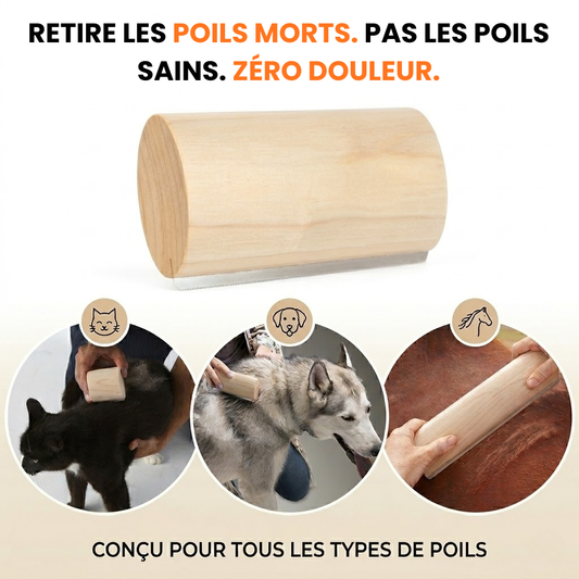 Brosse Clean'Poils™